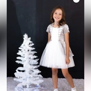Taylor Joelle Silver Nutcracker Dress
